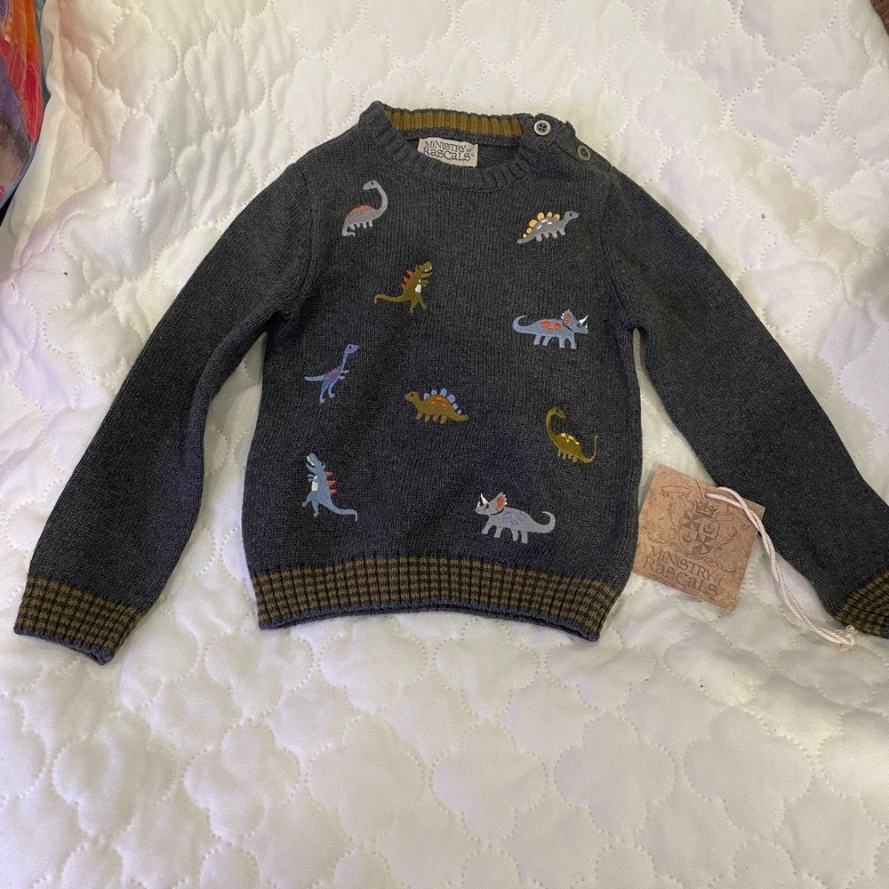 Dino sweater 2t